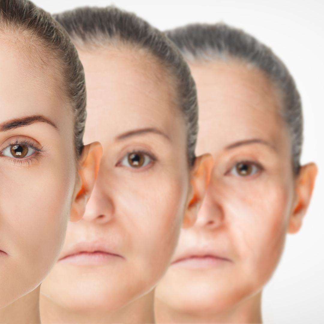 Why Does Our Skin Show Aging?