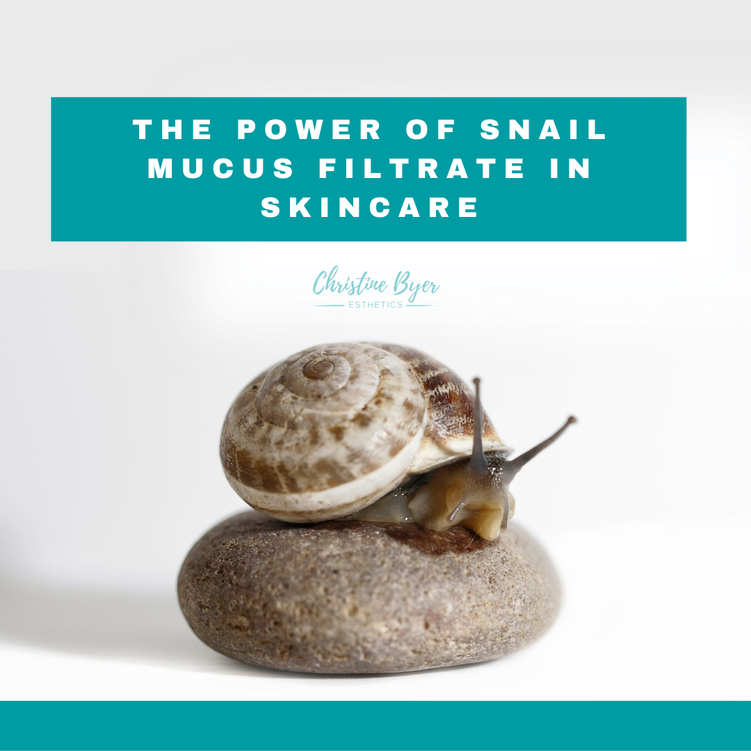Snail Mucus in Skincare