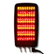 Glow Younger TriLight LED Device